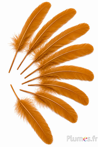 Gans - 15-21 cm - cognac